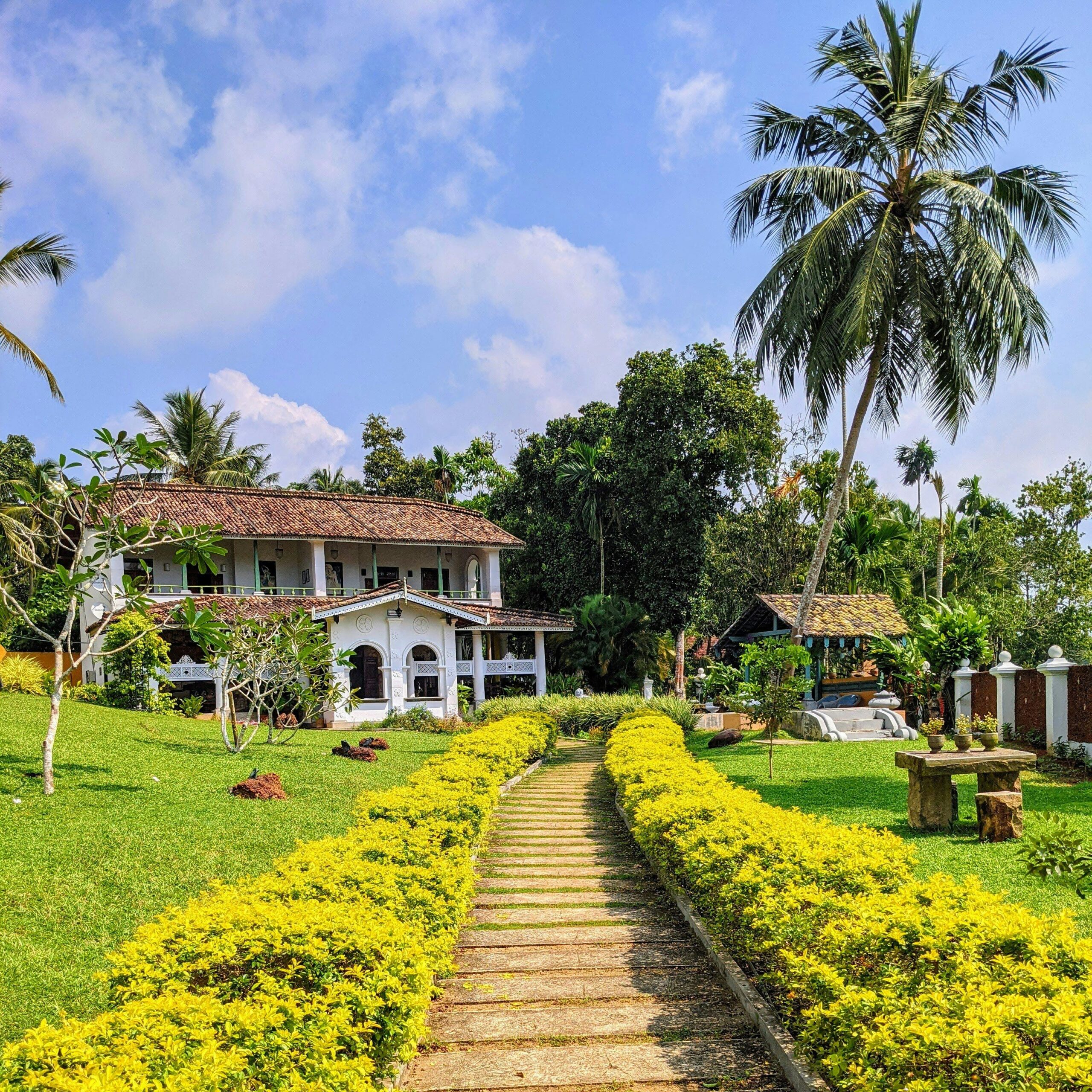 Beautiful colonial-style house surrounded by tropical garden with a clear blue sky.